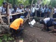 Haiti - Environment : «A student, a tree, a school-a garden»