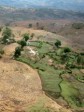 Haiti - Environment : 20 million to protect biodiversity and watersheds