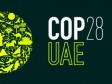 Haiti - Dubai : Preparations for Haiti's participation in the COP 28 negotiations in Dubai