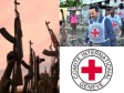 Haiti - ICRC : The challenge of access to health care in a climate of insecurity