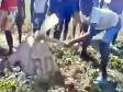 Haiti - FLASH : Haitians try to dig up a border boundary marker between the DR and Haiti (Video)