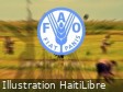 Haiti - Agriculture : 3,000 hectares of rice cultivation abandoned due to insecurity
