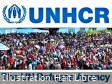 Haiti - FLASH : 312,000 Haitian refugees and asylum seekers around the world