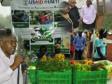 Haïti - Agriculture : Lancement du débat sur la relance agricole à Furcy