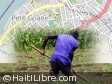 Haiti - Social : Celebration of the Feast of the Agriculture and Labor in Doucette