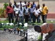Haïti - Agriculture : Système de riziculture intensif dans le Nord