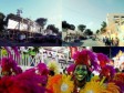 Haïti - Carnaval des Fleurs 2013 : J-3