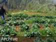 Haiti - Agriculture : The 2013-2014 agricultural year promises to be good