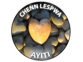 Haïti - Santé : 130 opérations à cœur ouvert en Haïti en 2 ans