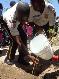 Haïti - Environnement : Opération de reboisement à Canaan