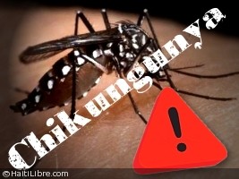 Haiti - Health : Chikungunya, the number of cases greatly exceeds estimates