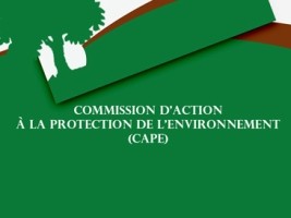 Haiti - Environment : Launch of the Action Committee for Environmental Protection