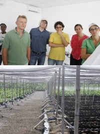 iciHaïti - Agriculture : Visite de la BID à la plantation Agritrans