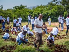iciHaiti - Environment : 12,500 fruit and forest seedlings were planted...