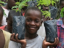 iciHaiti - Environment : 10 million Haitians, 10 million trees