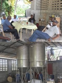 iciHaïti - Politique : Vers une nouvelle approche de l'agriculture