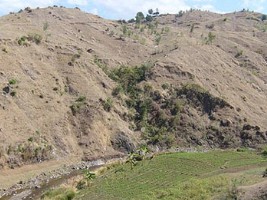 Haiti - Environment : $2,2M to fight against desertification