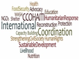 Haiti - Humanitarian : 49 international NGOs are worried about the stopping of certain aid programs