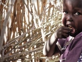 iciHaiti - Humanitarian : WFP plans to start emergency food distributions in Haiti