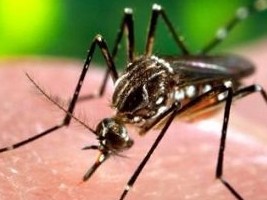 Haiti - NOTICE : Early warning system of suspected cases of the ZIKA virus