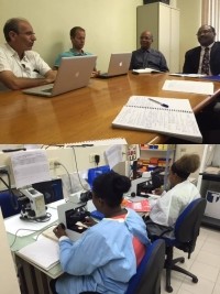 IciHaiti - Health : Zika virus, increased regional cooperation in public health