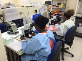 iciHaïti - Santé : Situation des laboratoires de biologie médicale au pays