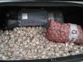 iciHaiti - DR : Seizure of smuggled garlic from Haiti
