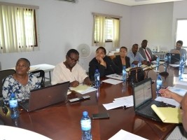 iciHaiti - Agriculture : Draft of the National Seed Policy