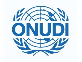 Haiti - Politic : Round table around of industrial micro-parks in the country