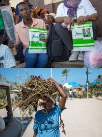 Haiti - Agriculture : The Lamothe Foundation respects its promises