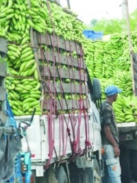 Haïti - RD : Les douanes haïtiennes retiennent des camions dominicains à la frontière