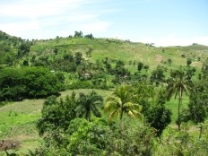 Haiti - Environment : Sustainable development project in South West