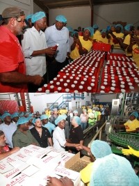 Haiti - Agriculture : Moïse visits the tomato processing plant SHAISA