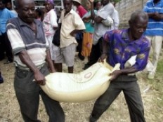 Haïti - Agriculture : La FAO au secours des populations rurales