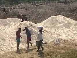 Haiti - Politics : Rice dumping, end of the mystery