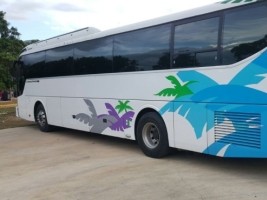 iciHaiti - Social : A bus full of undocumented Haitians, intercepted in DR