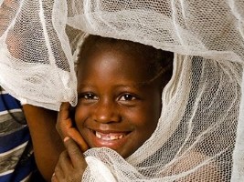 iciHaïti - Paludisme : Campagne de distribution de moustiquaires