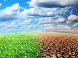 Haiti - Environment : Climate change, UNDP advocates for Haiti