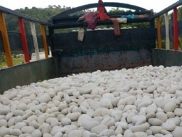 Haiti - Environment : Exploitation of stones on the coast of Marigot, the Ministry explains...