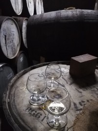 Haïti - Agriculture : La première Sentinelle haïtienne de rhum Clairin