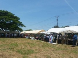 Haiti - Agriculture : Great Agricultural Fair in Terrier Rouge