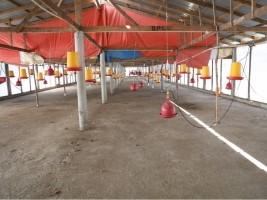 Haiti - Politic : The Head of State on tour in the Northeast