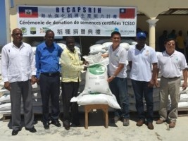Haïti - Taïwan : Don de 11,000 sacs de semences de riz TCS 10