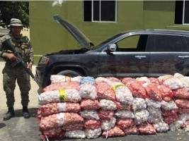 iciHaiti - Contraband : 1,2 tons of garlic seized from Haiti