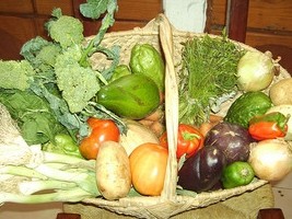 Haïti - Économie : Le coût du panier alimentaire continu d’augmenter