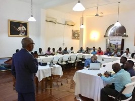 iciHaiti - Environment : Workshops on reforestation in Jacmel and Les Cayes