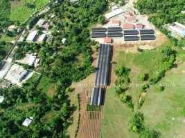 Haiti - Environment : Inauguration of the 3rd Plant Propagation Center