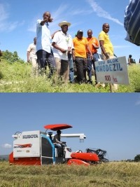 Haïti - Agriculture : Le Président Moïse dans l’Artibonite pour une moisson de riz