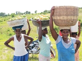 Haïti - Politique : Appel à la solidarité avec les femmes rurales