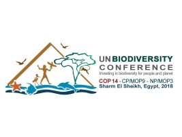 iciHaïti - Environnement : Haïti participe à la COP 14 à Sharm El Sheikh (Egypte)